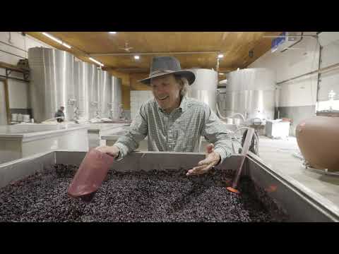 The GREEK's Nectar of the Gods