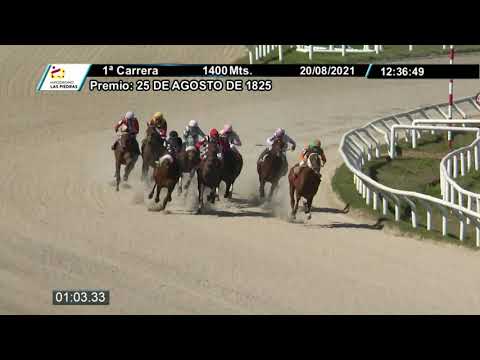 210820 c01 - HELLO CAPONE (BRZ) - HIPODROMO LAS PIEDRAS