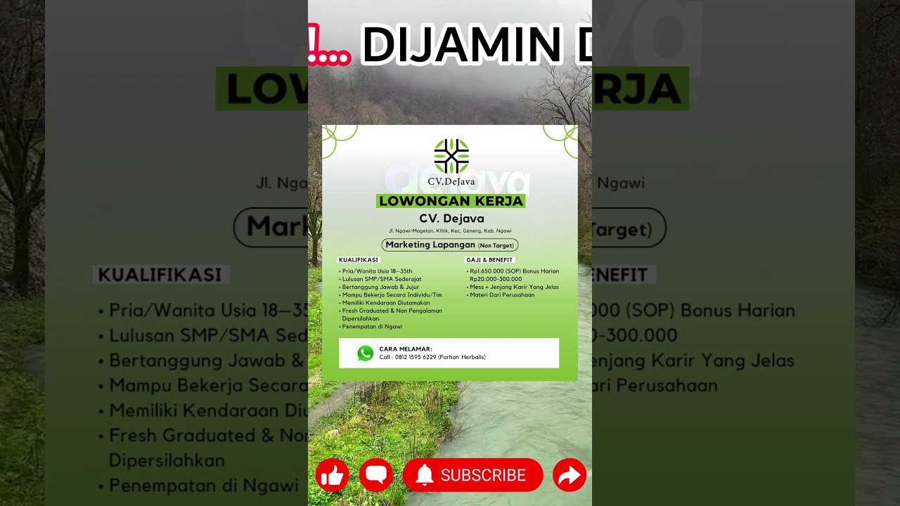 LOWONGAN KERJA TERBARU DI CV. DeJava #lowonganpekerjaan #lowongan #job