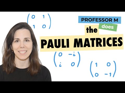 The Pauli matrices