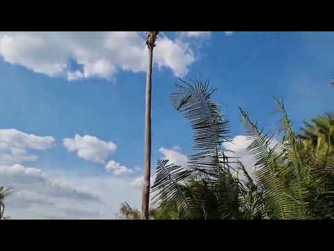 Saindo da localidade Curralinhos para Bonfim Esperantina Piauí 