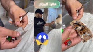 algérienne est attendue au Maroc vendredi soir 💪 Petkovic durcit le ton avec ses joueurs 🔥 Composition des Vertsالجزائر😱بائع فساتين عروس يجد سحر داخل الفستان الأبيض بصورة العروس وطلاسم 😱