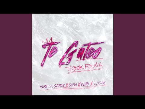 Te Gateo (TikTok Remix)
