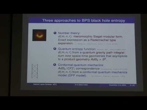 Gabriel Lopes Cardoso, "The gravitational path integral from black hole microstate counting"