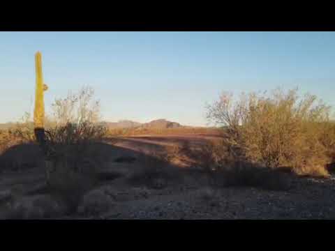 Roadrunner Campground south of Quartzsite