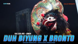 Download lagu LAGU JARANAN DUH BIYUNG ADUH BIYUNG DJALMO PRONOJOYO TERBARU 2025 mp3