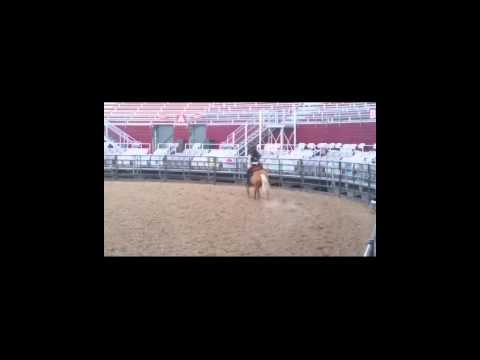 Janalyn White 2016 NFR Flag Girl competition video