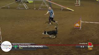 Felix Grand Prix Quarter Finals Cynosport 2021