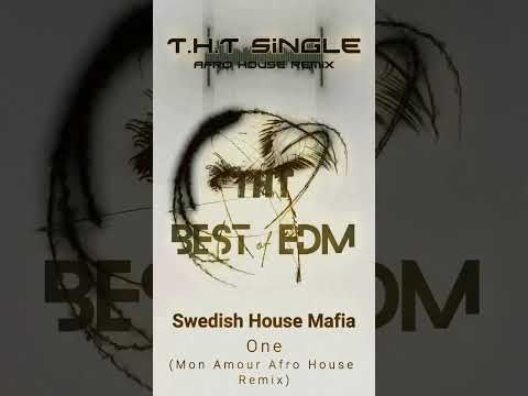 Swedish House Mafia - One (Mon Amour Afro House Remix) #music #afrohouse #remix #dancemusic