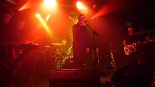 Sad Lovers and Giants - Jungle of Lies