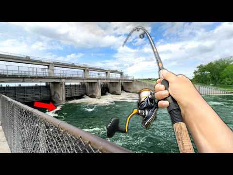 Fishing a BIG SPILLWAY with TINY Live Bait..