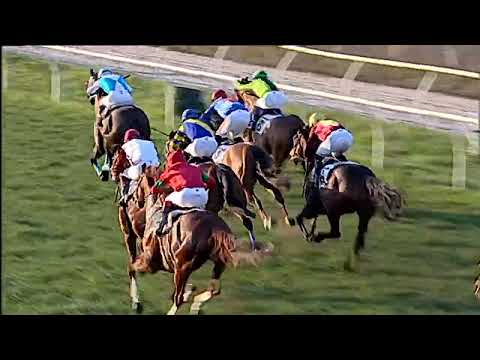 Napoli Galoppo 03/01/2023 - 5ª corsa