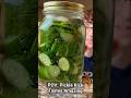 Pickle Rick Dill Pickles