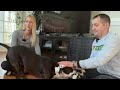 Play Video: From Trauma to Trust: Training One Rescue and Saving More