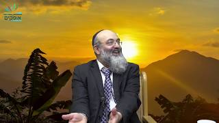 שידור חי יומי-הרב מיכאל דדון פרשת כי תבוא  יח' אלול תשע''ט