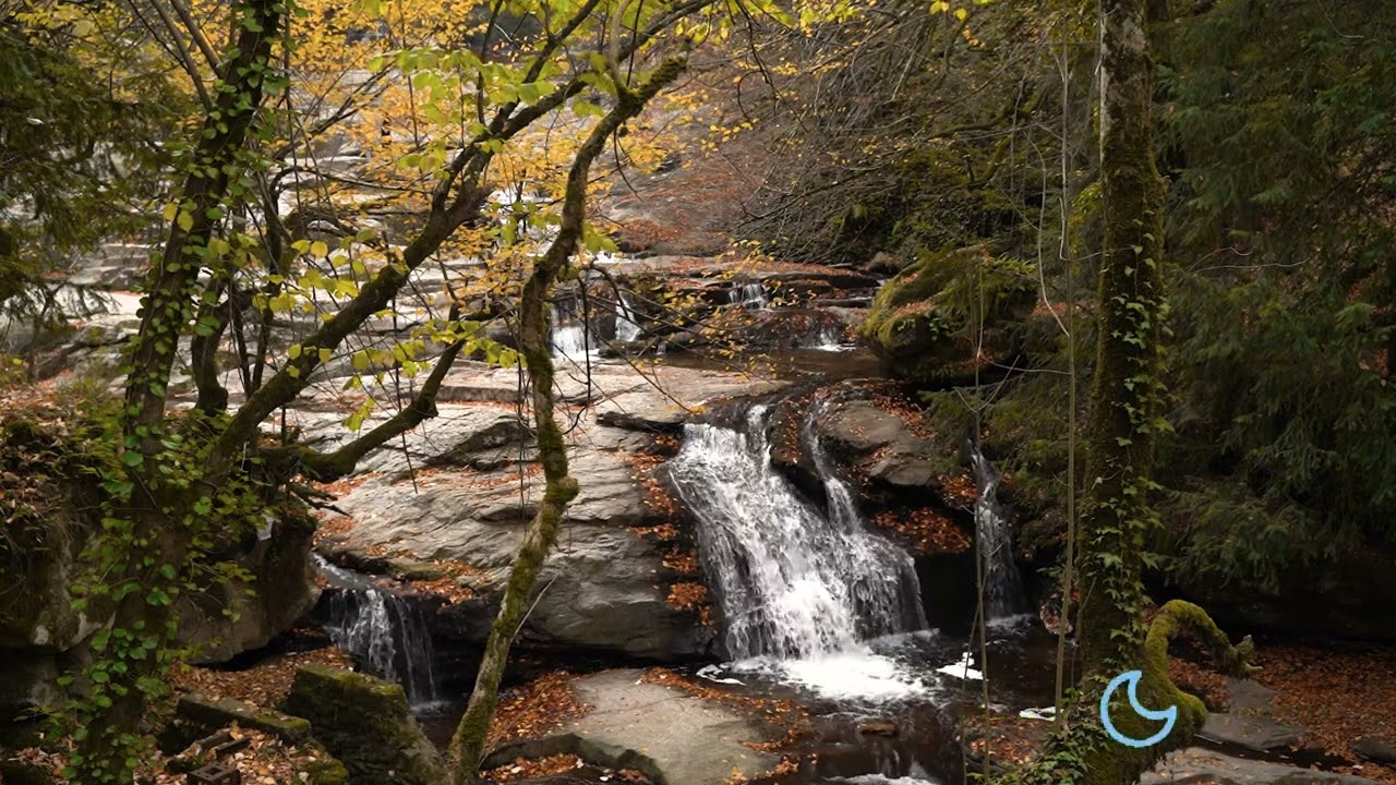 Exploring Quiet Headspace: Techniques for Mindful Silence