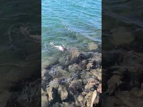 Embalse Piedra del Aguila Pescando Neuquén