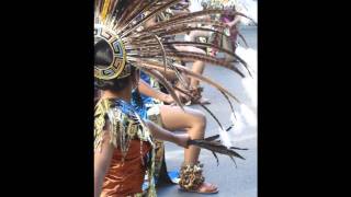 funky  dragon - 13  days