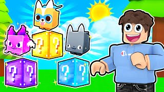 We Added LUCKY BLOCKS and RACED in Pet Simulator X