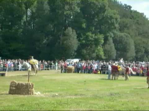 Römer u Germanentage Kalkriese 2009 - Reiter