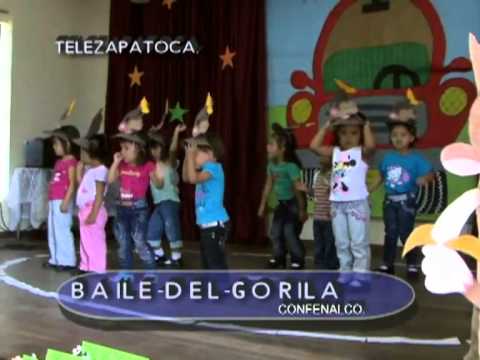 Zapatoca.net - Zapatoca.net -