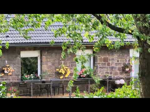 Pixel 8 Pro Video 4K 30FPS + HDR + Zoom Sample