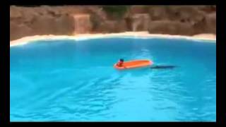 كلمات اغنية سبحان الله محمد منير