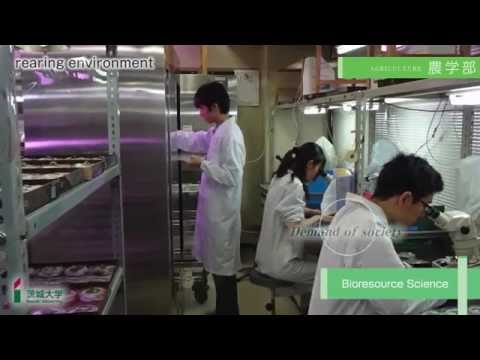 【農学部】College of Agriculture