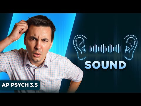 The Human Ear & Sound  [AP Psychology Unit 3 Topic 5]