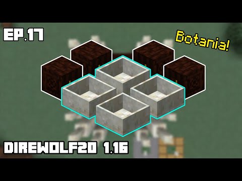 Direwolf20 1.16 [Ep.17] Botania!