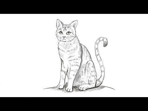 Comment dessiner un chat [Tuto]
