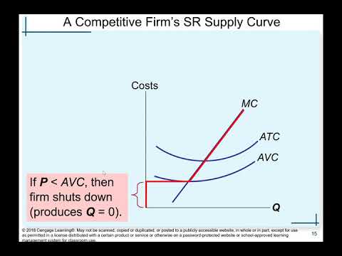 Chapter 14: Firms in Competitive Markets