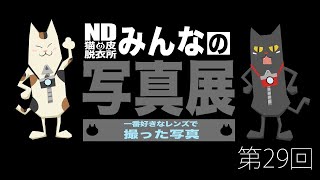 【第29回】NDみんなの写真展【一番好きなレンズで撮った写真】