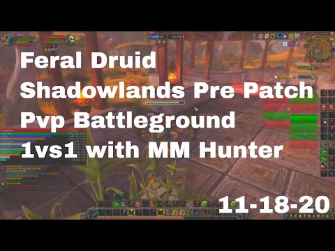 World of Warcraft Shadowland Pre Patch Feral Druid vs MM Hunter, 11-18-20