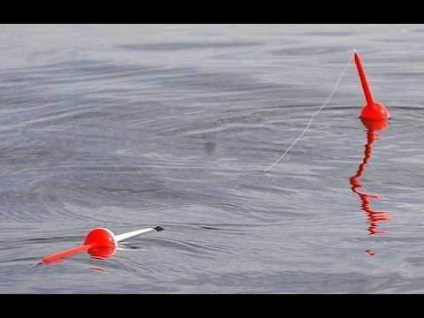 GRAN ARRANQUE DE TEMPORADA EN LAGUNA VIAMONTE DE CORDOBA. GUIA MILI PESCA: 3537 443899.