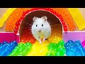 The World's Largest Hamster Prison Maze 🐹 The Best Hamster Challenges #1