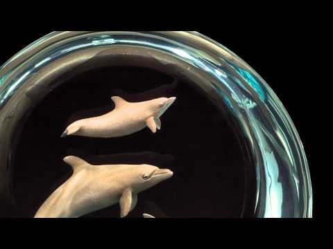 Kitty CantrellAquatic Ballet
