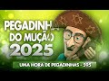 PEGADINHA DO MUÇÃO 1 HORA DE PEGADINHA 595 MUÇÃO PEGADINHA MUÇÃO2024