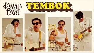 Download lagu DAVID BAYU - TEMBOK ( VIDEO) mp3