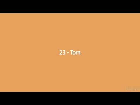 23 - Torn (Lyrics)