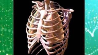 Watchman Video Broadcast 02-05-12, Jesus Christ, DNA and the Holy Bible 2012 Edition