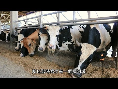 格外品養出美味 芸彰牧場的牛隻經濟
