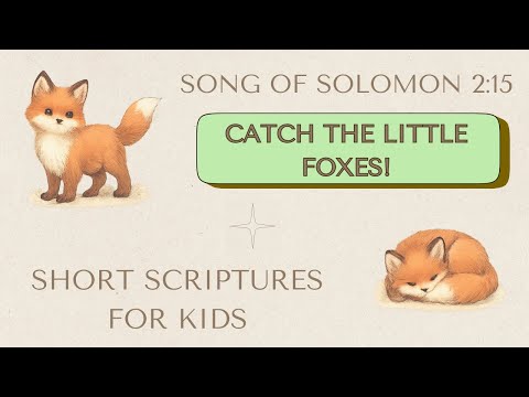 Song of Solomon 2:15 | Little Fox Catcher