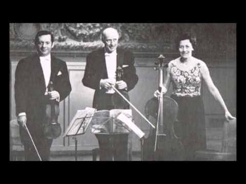 download lagu mp3 mp4 Mozart Complete String Trios And Duos Grumiaux PHILIPS, download mp3 Mozart Complete String Trios And Duos Grumiaux PHILIPS free download mp3, download mp3 Mozart Complete String Trios And Duos Grumiaux PHILIPS