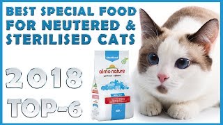 Best 🔥 Special food for neutered & sterilised cats 😸 review 🔥 TOP 6