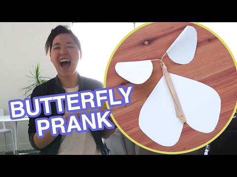 Flying Butterfly Surprise Card