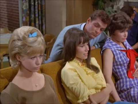 Barbara Hershey Performances - Ellen ( Gidget )