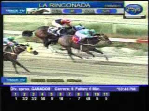 Resumen Sábado, 11 de Junio de 2011 - La Rinconada