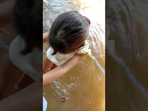 Rancho Araguaia Piçarra para