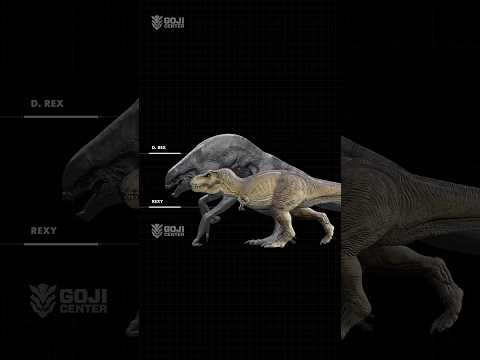 Mutant D Rex compared to Rexy #drex #dinosaur #jurassicworldrebirth #dinosaurs